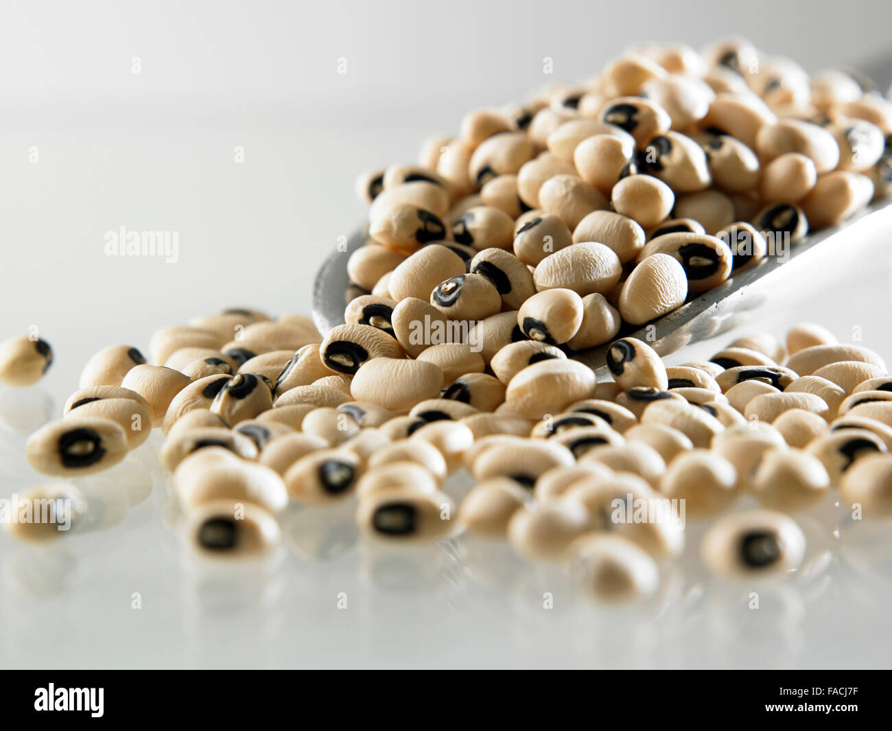 scoop of the dried black eyed beans Stock Photo Alamy