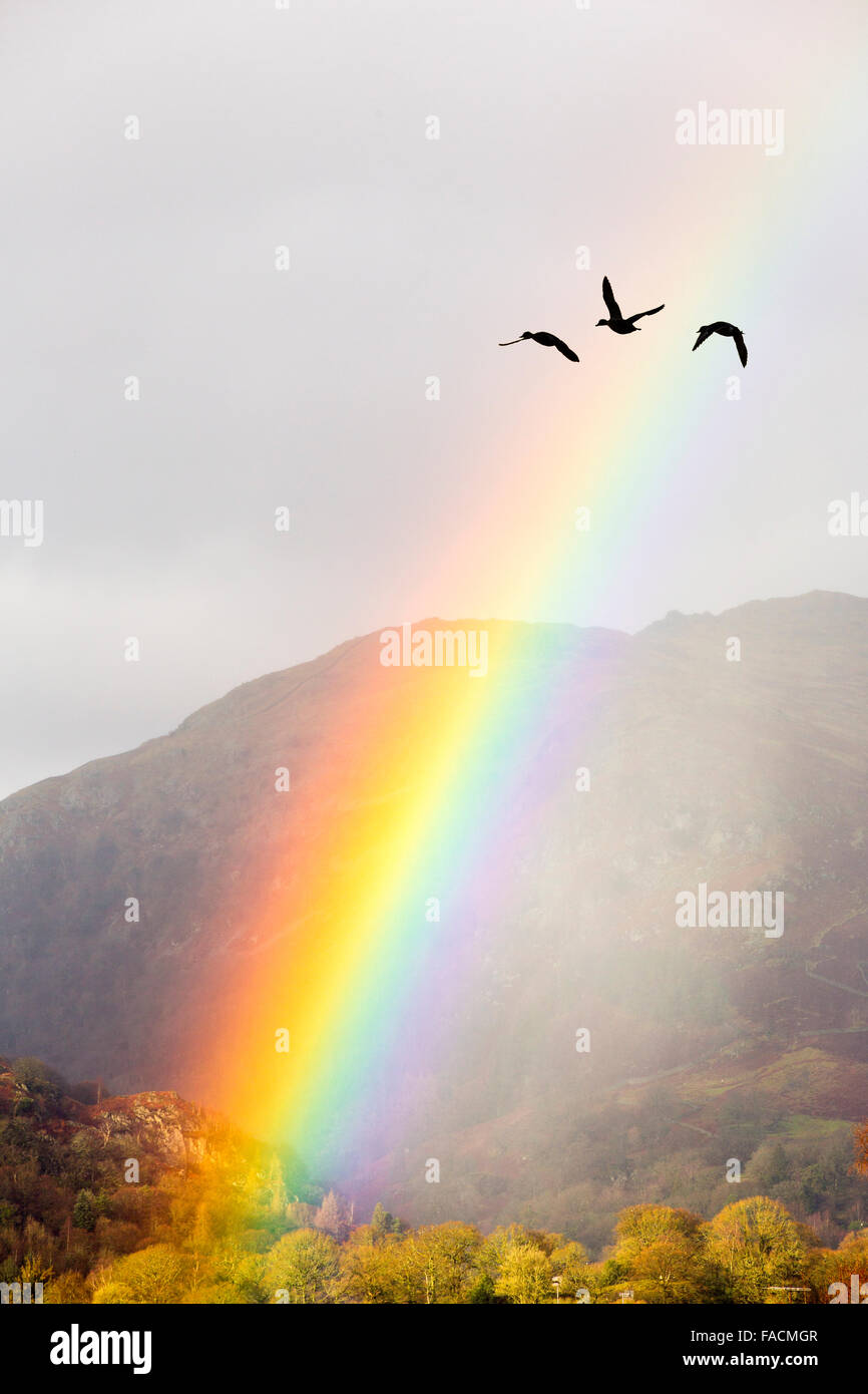 A rainbow over Ambleside in the Lake District, Cumbria, UK Stock Photo