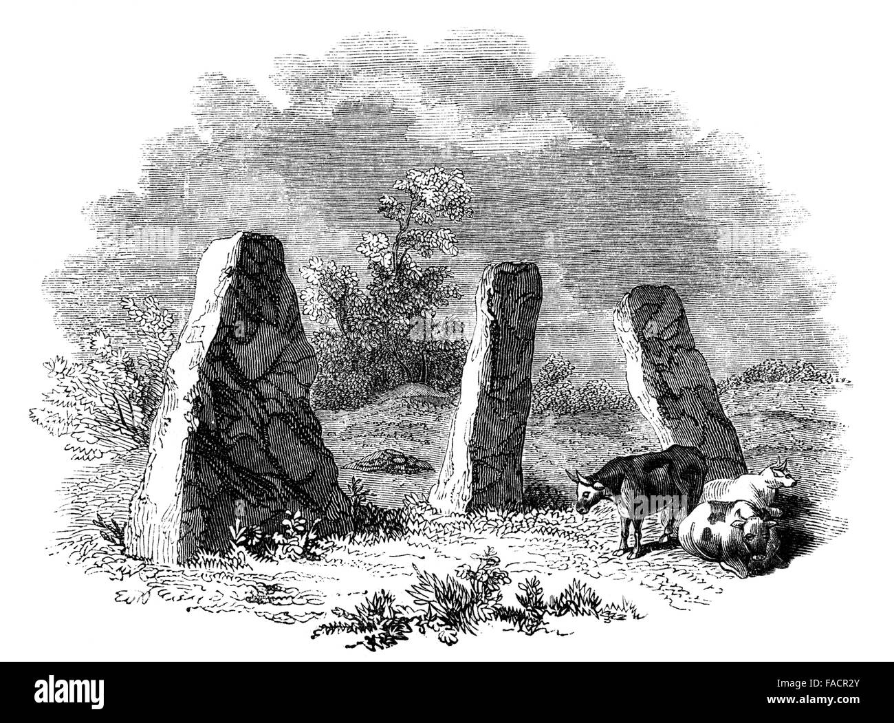 engraved illustration of three Bronze Age standing stones, known as Harold’s Stones,Trellech, South Wales, UK from 1844 Stock Photo
