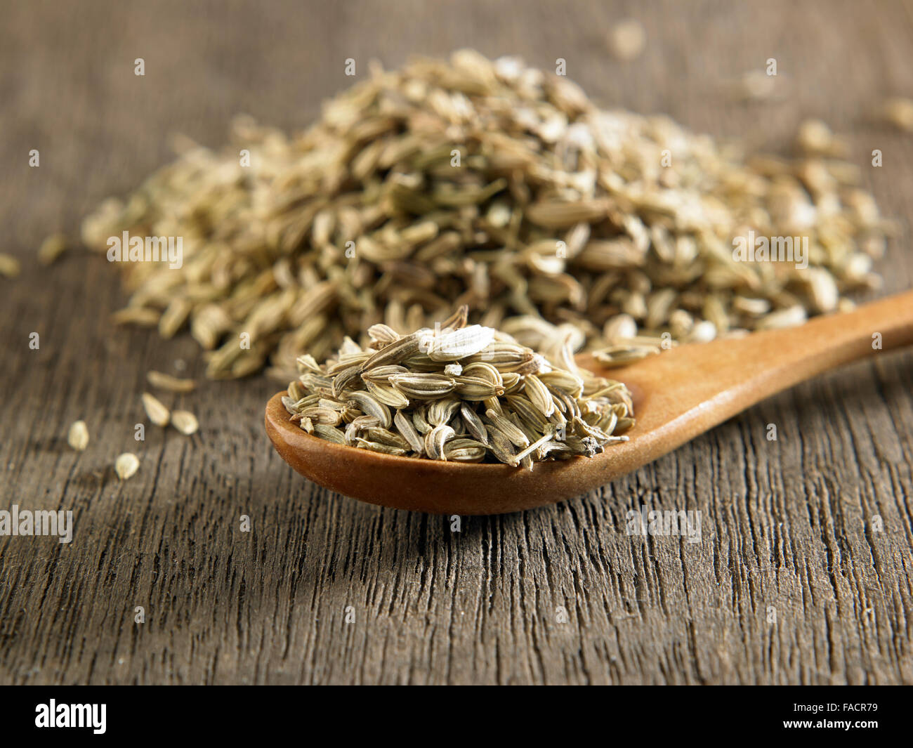 close up of the cumin indian spices Stock Photo Alamy