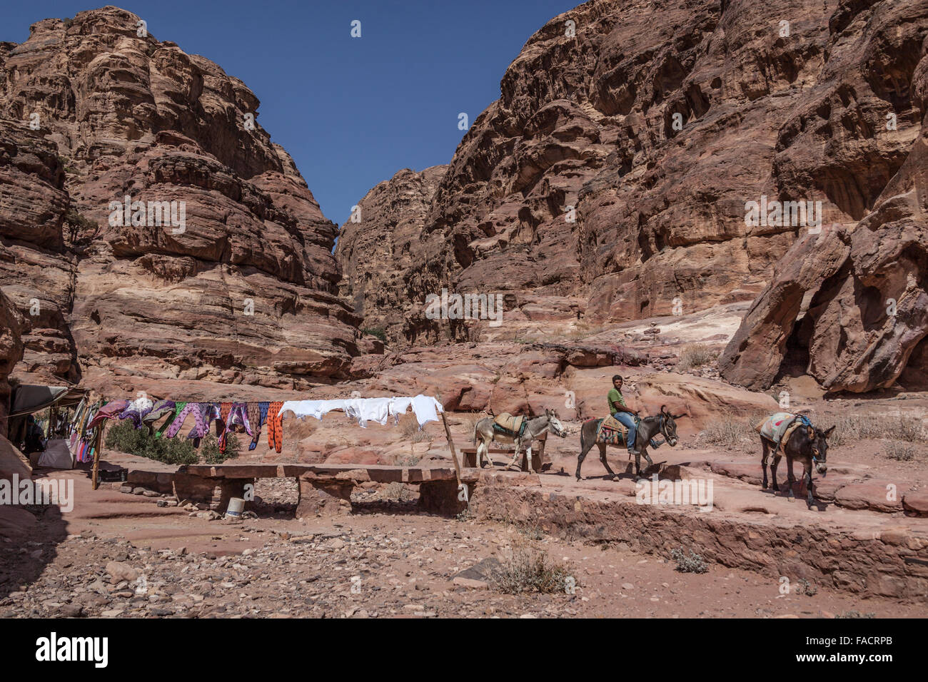The Ancient Nabataean city of Petra, Jordan, Middle East Stock Photo