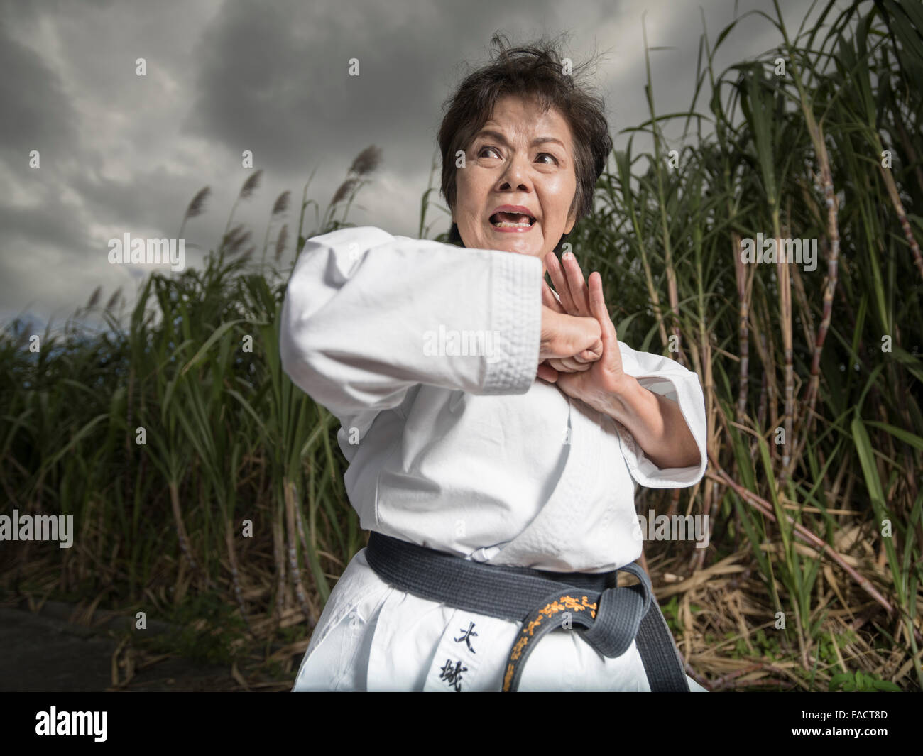 Nobuko Oshiro, Kyoshi, 8th dan  Okinawa Karate-do Shorinryu, Taishinkan Association  in the Sugar Cane fields of Sashiki Town, O Stock Photo