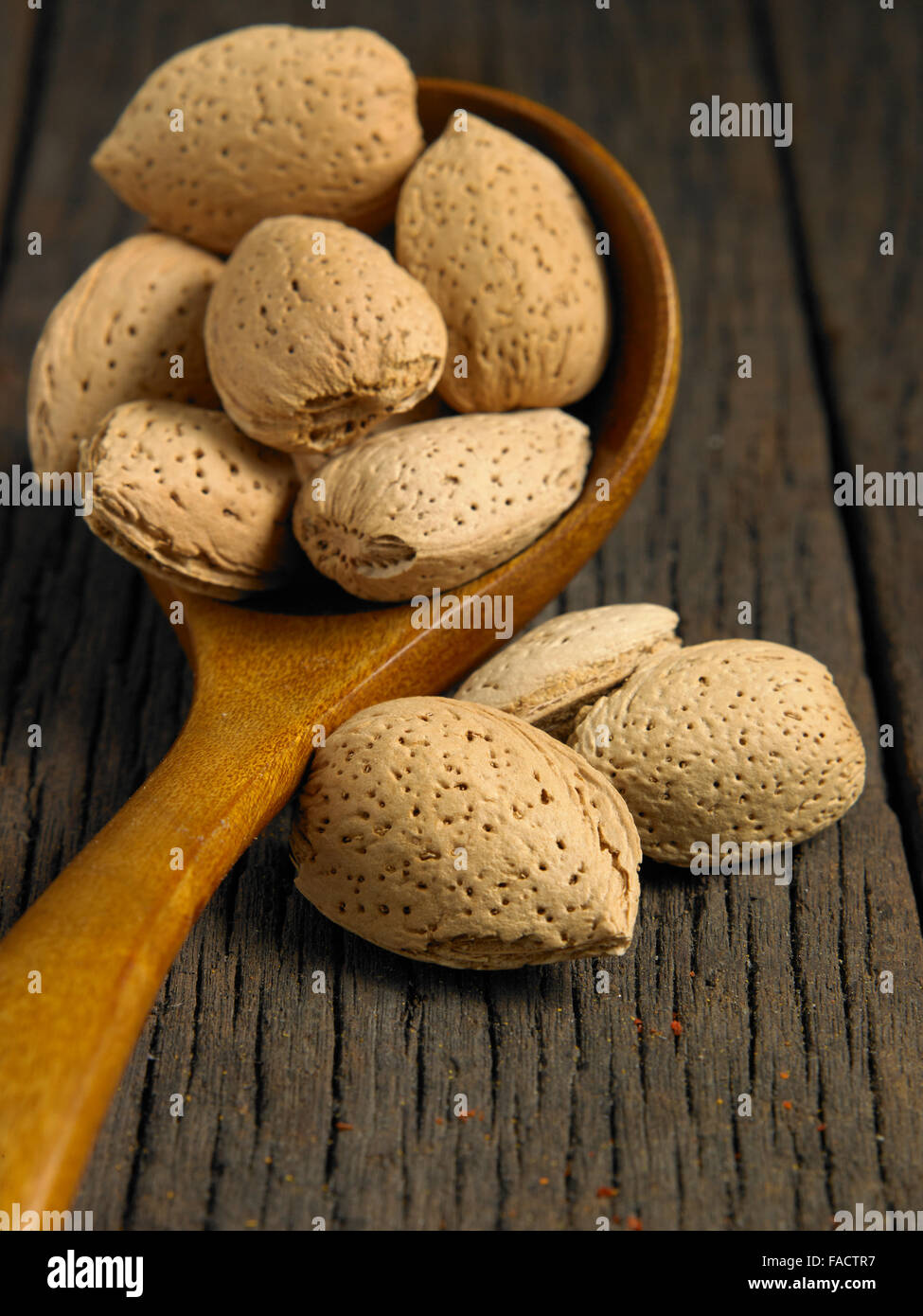 Almondsnut Shell Close up of almond nut with shell Stock Photo - Alamy