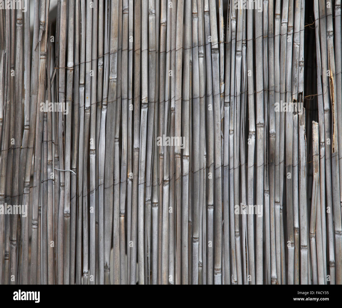 Bamboo screen of grey color Stock Photo Alamy