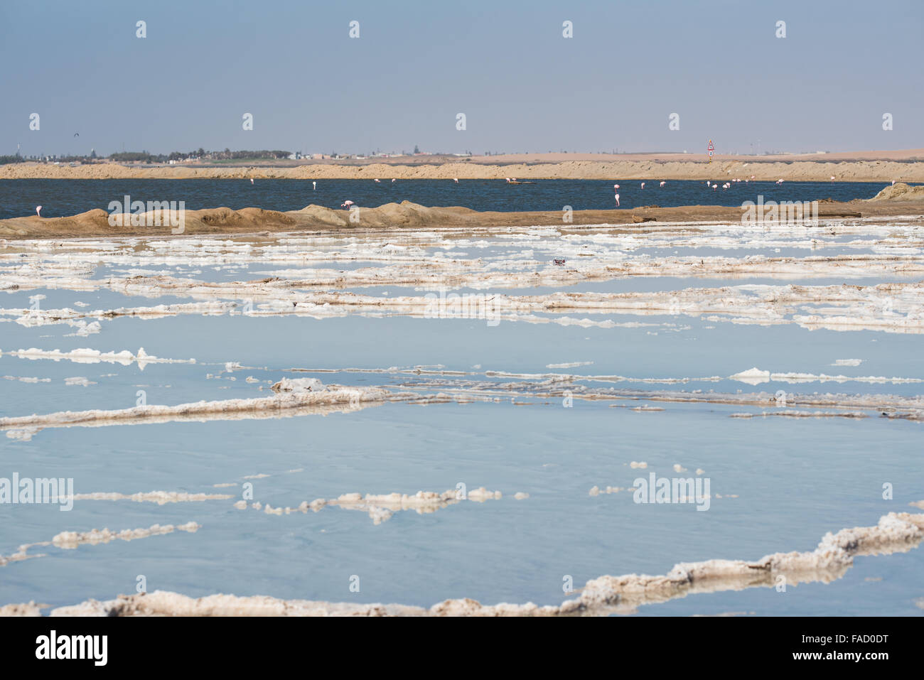 Salt pans just outside Walvis Bay with flamingos in the background ...