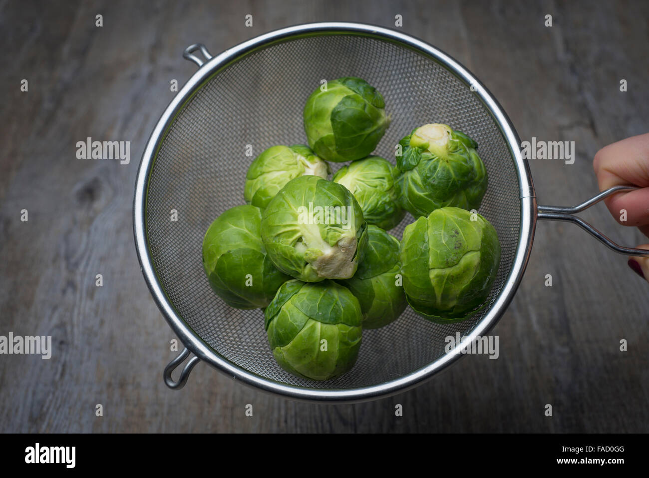 Brussel sprouts in a sieve for washing Stock Photo