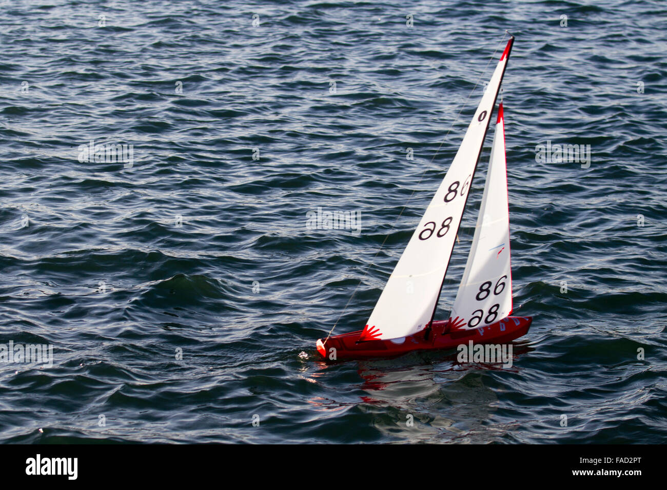 used iom rc sailboat