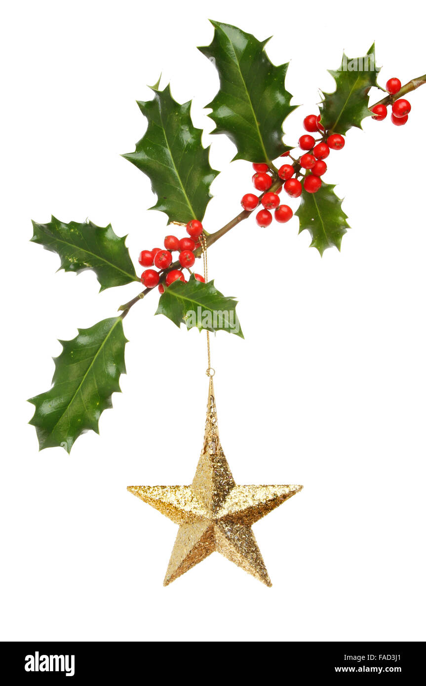 Gold Christmas star ornament hanging from a holly branch isolated ...
