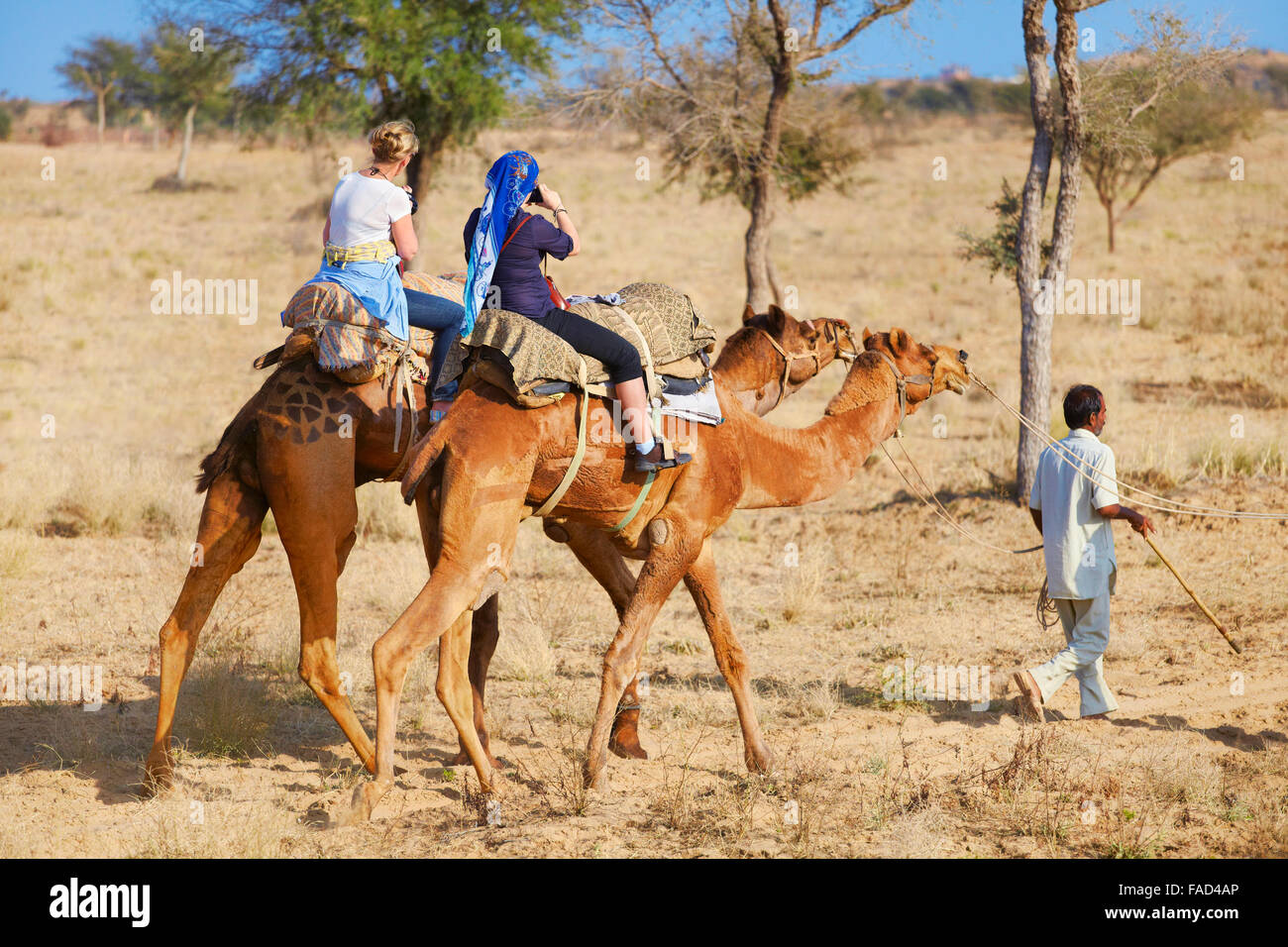 Two camels with tourists ride safari on the Thar Desert near Jaisalmer, India Stock Photo