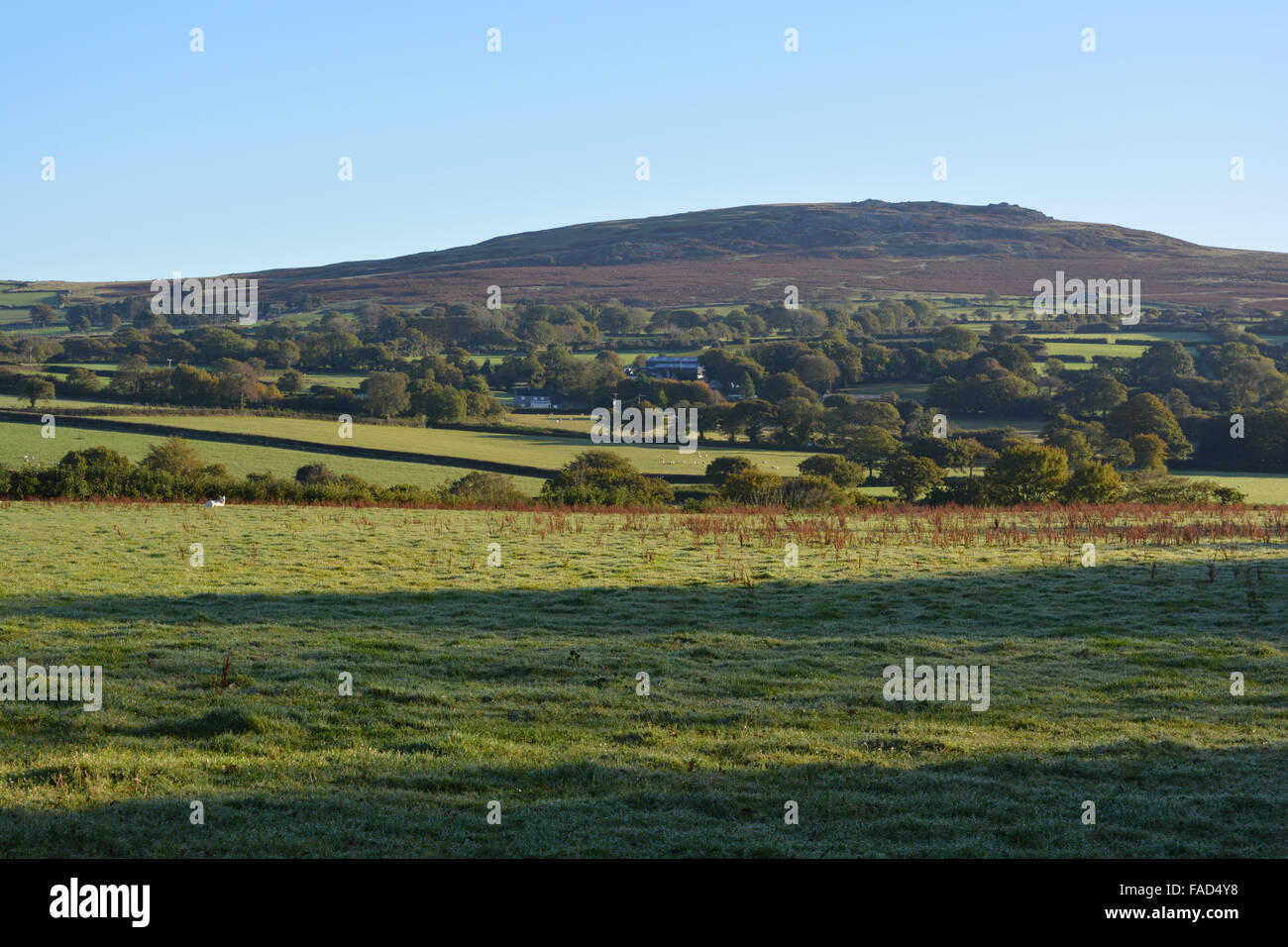View to Cox Tor in  Dartmoor National Park across farm fields near Tavistock. Devon, England Stock Photo