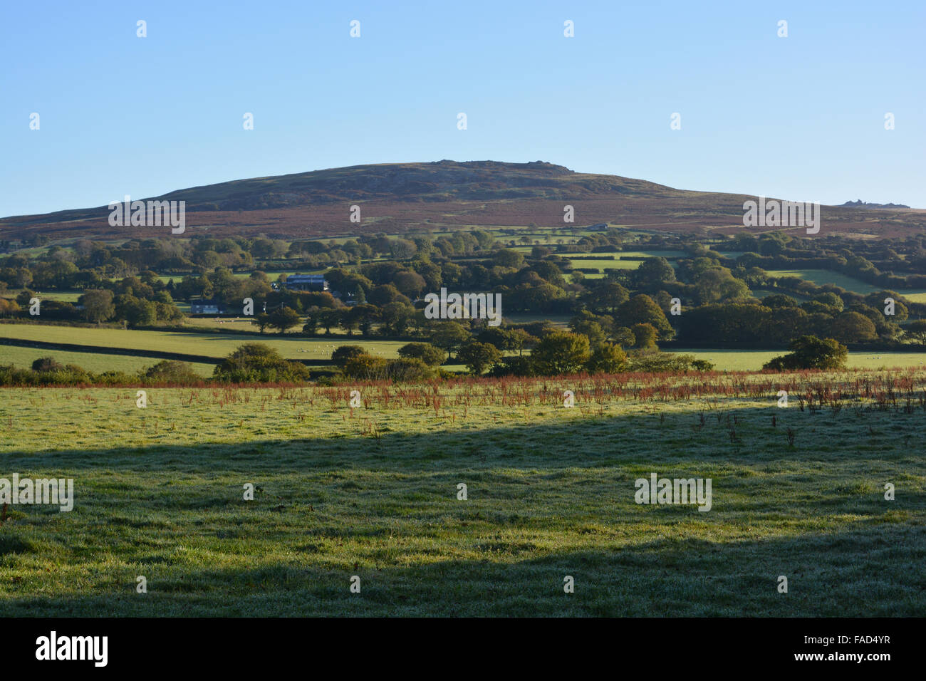 View across farm fields near Tavistock, looking towards Cox Tor on the horizon in Dartmoor National Park. Devon, England Stock Photo