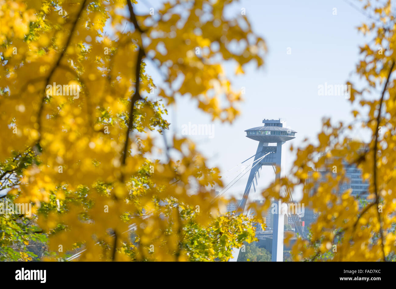 Bridge of the Slovak National Uprising in Bratislava Surrounded by Yellow Autumn Leaves Stock Photo