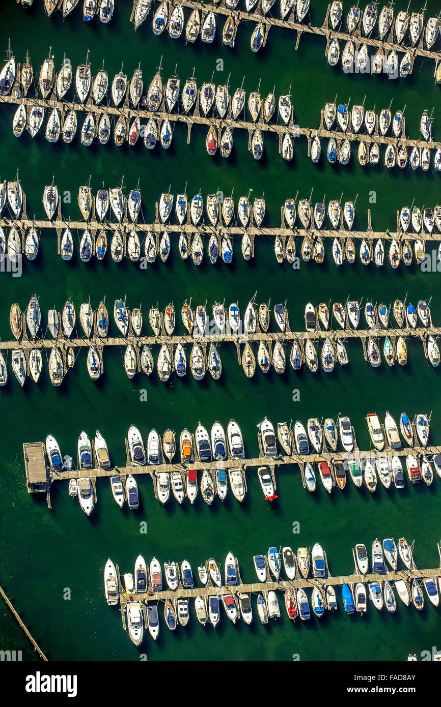 Aerial view, Marina marina Neustadt Holstein, sailboats, marina on the Wiek, Neustadt in