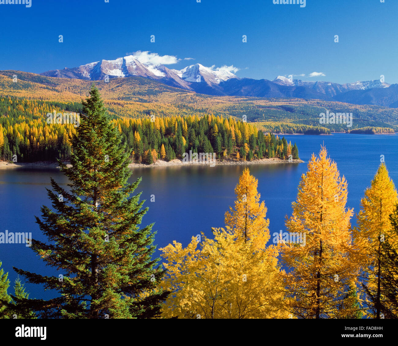 fall colors and peaks of the flathead range (great northern mountain and mount grant) above hungry horse reservoir near hungry horse, montana Stock Photo