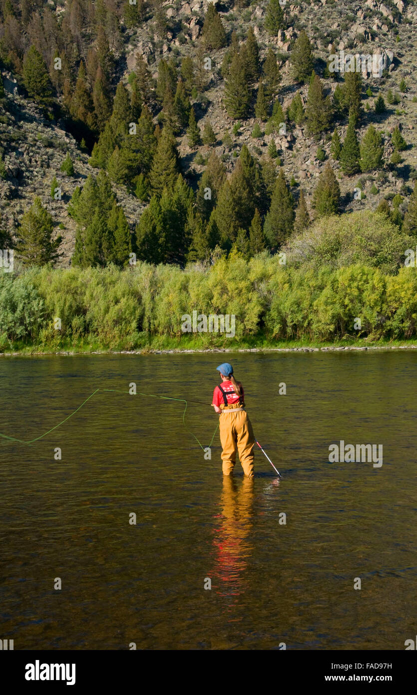Anaconda range hires stock photography and images Alamy