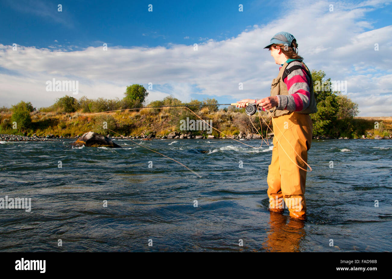 Madison river fishing hires stock photography and images Alamy