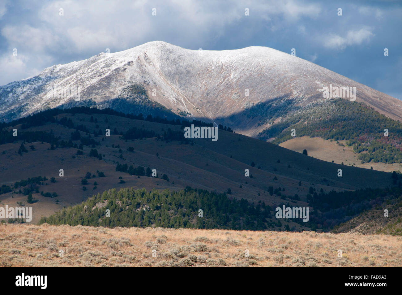Pioneer Mountains from Valley, Pioneer Mountains National