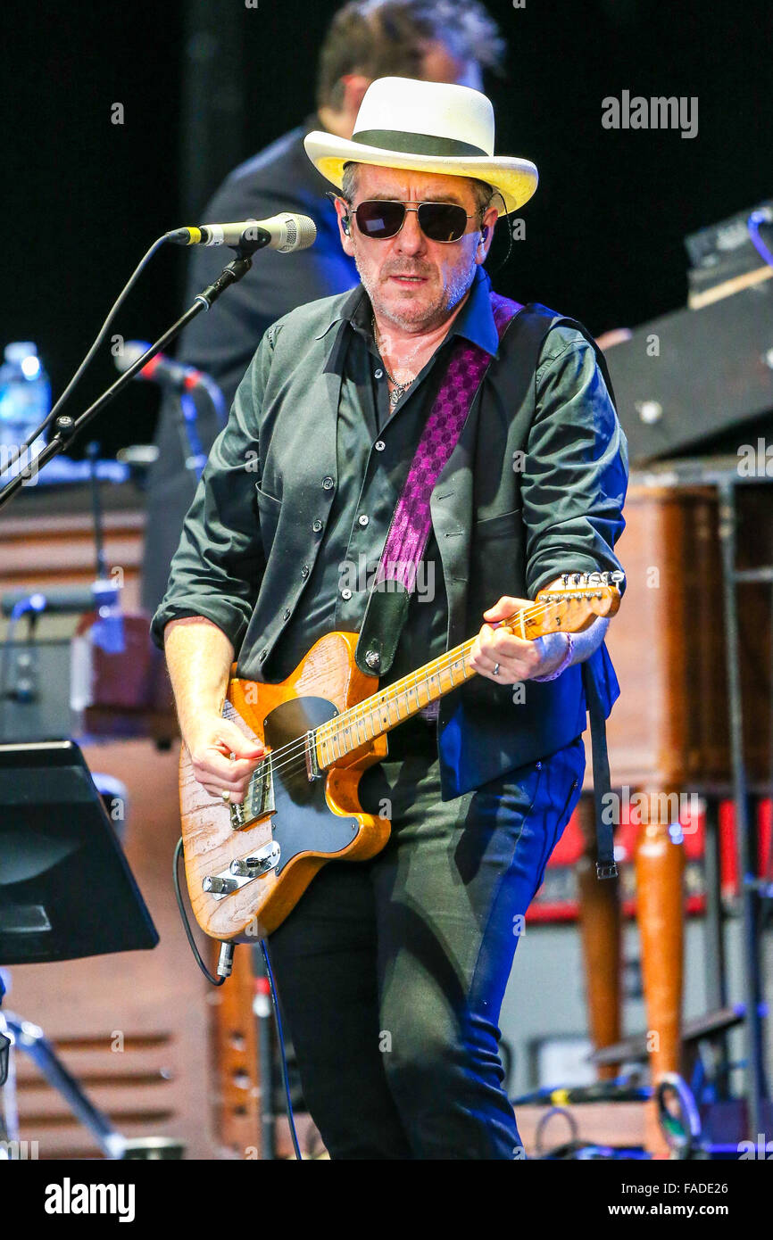 Elvis Costello Live in Concert Stock Photo - Alamy