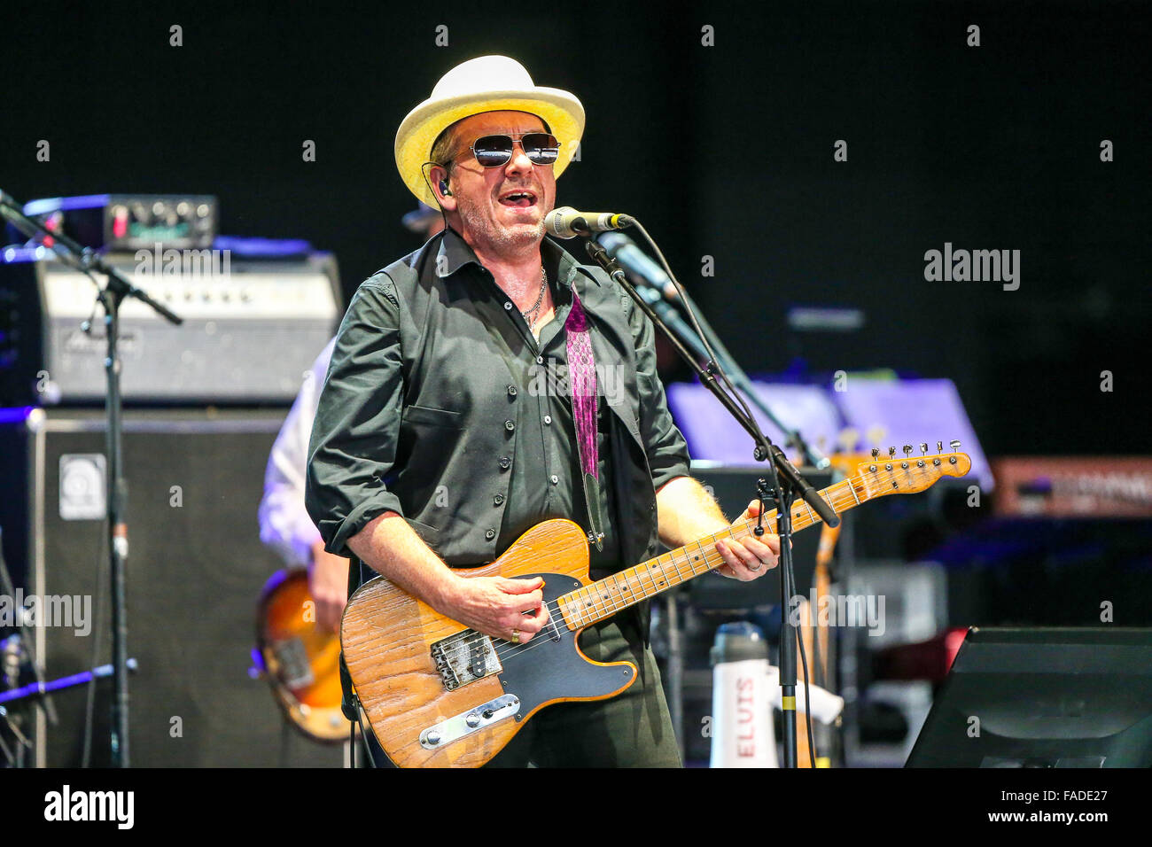 Elvis Costello Live in Concert Stock Photo - Alamy