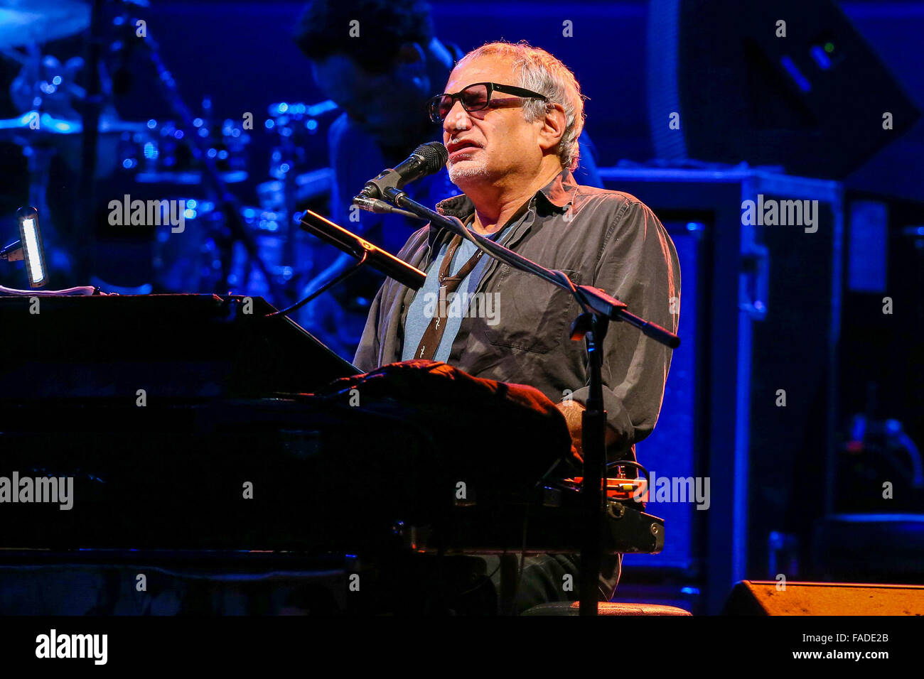 Steely Dan live in concert Stock Photo Alamy