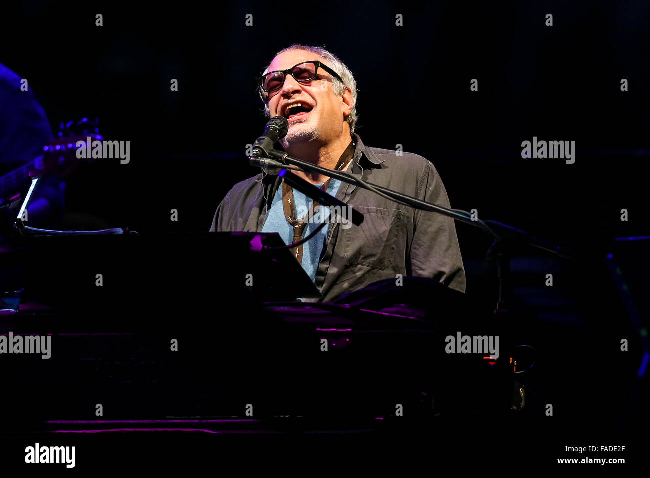 Steely Dan live in concert Stock Photo Alamy