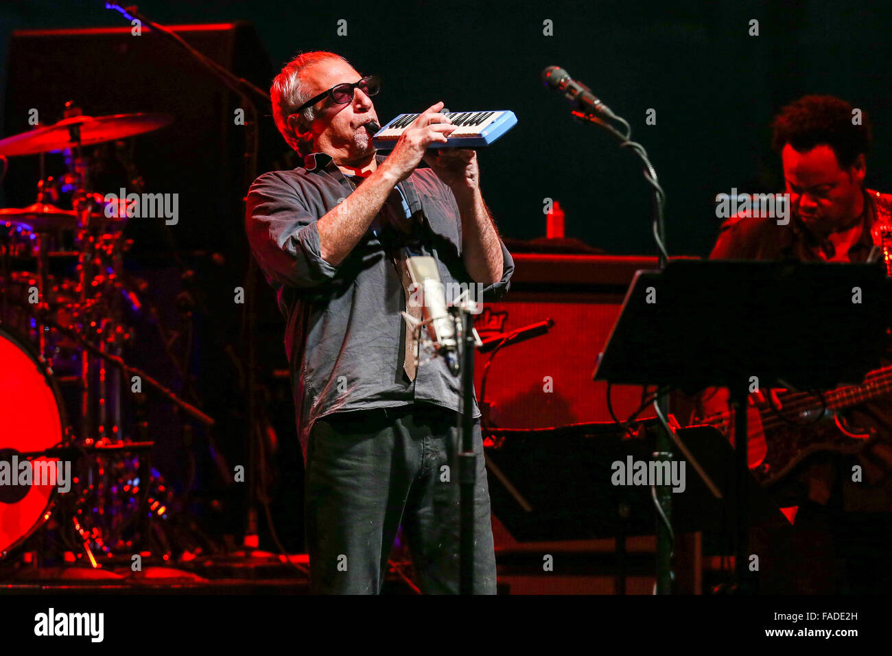 Steely Dan live in concert Stock Photo Alamy