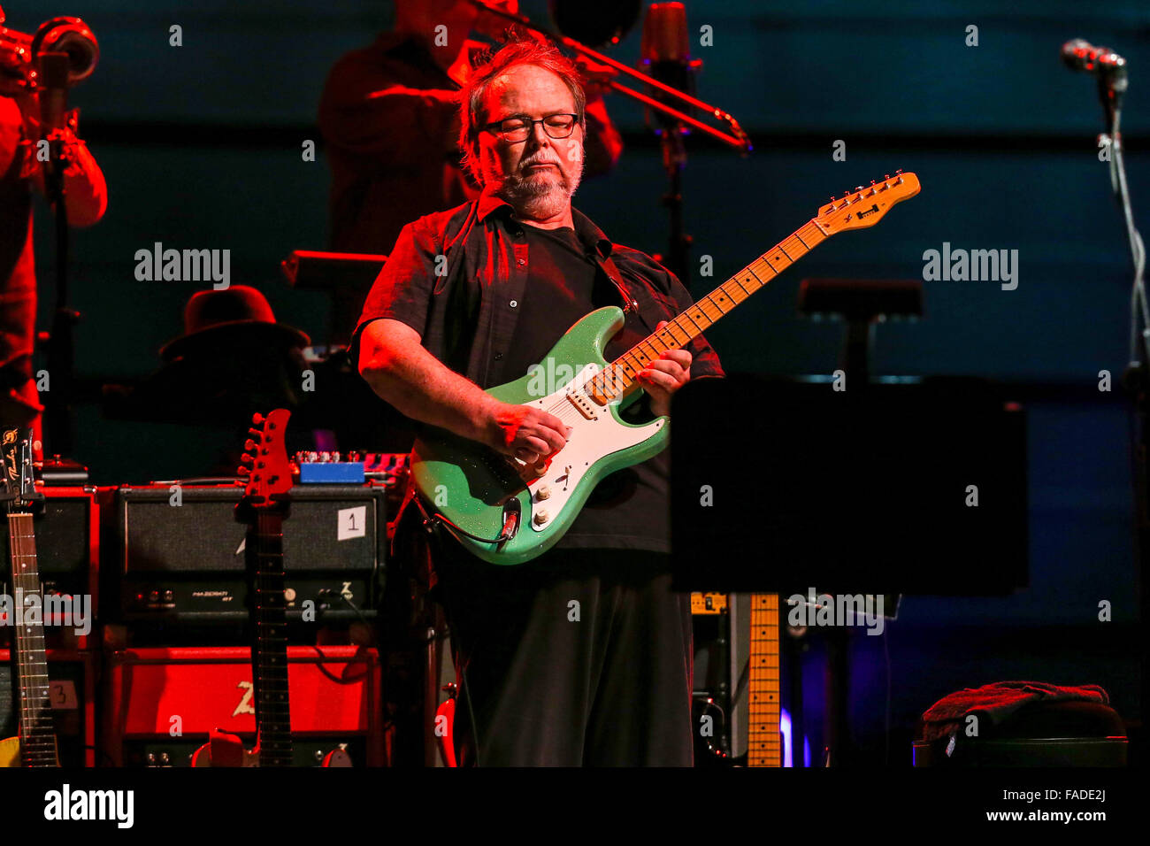 Steely Dan live in concert Stock Photo Alamy