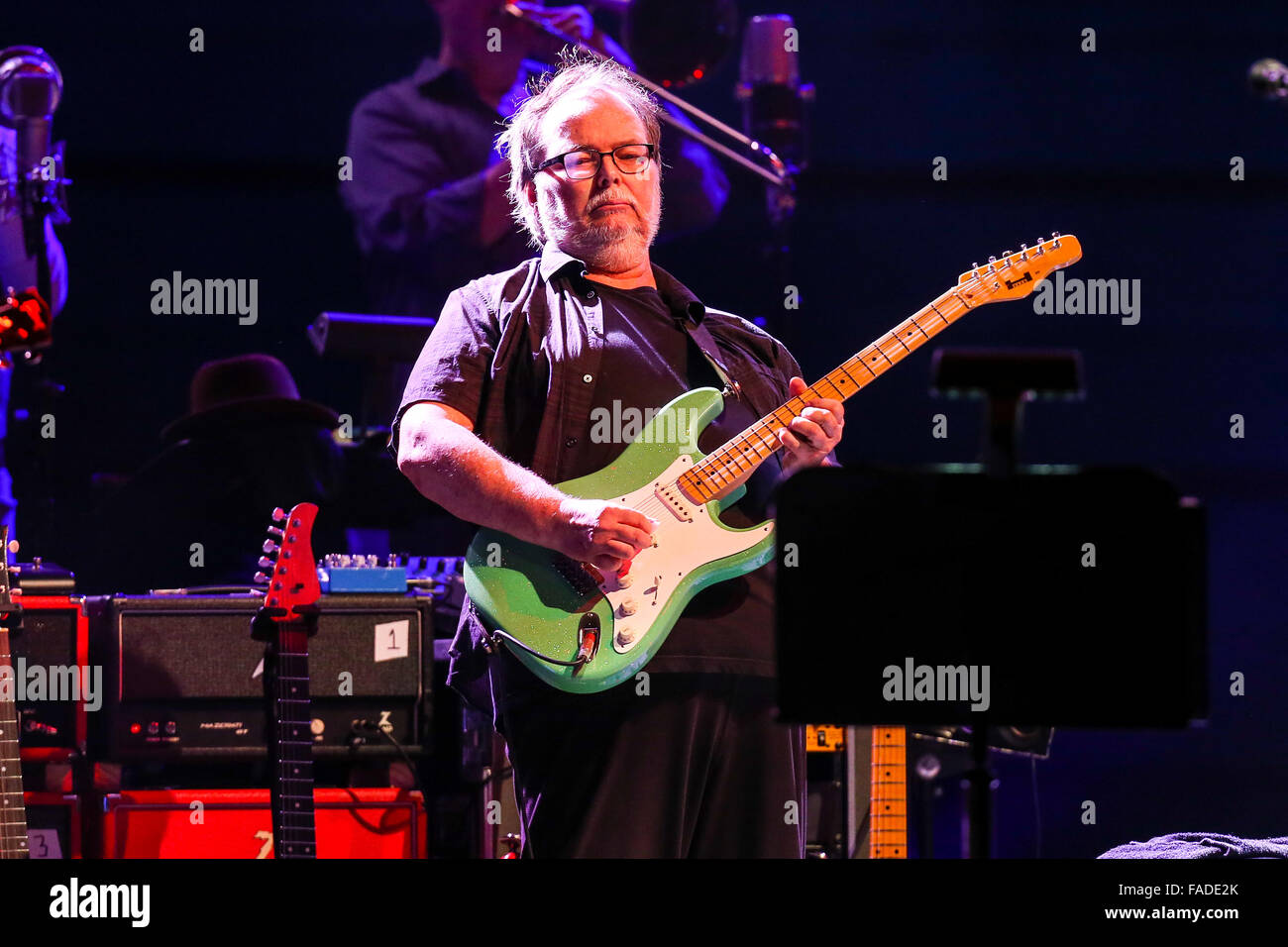 Steely Dan live in concert Stock Photo Alamy