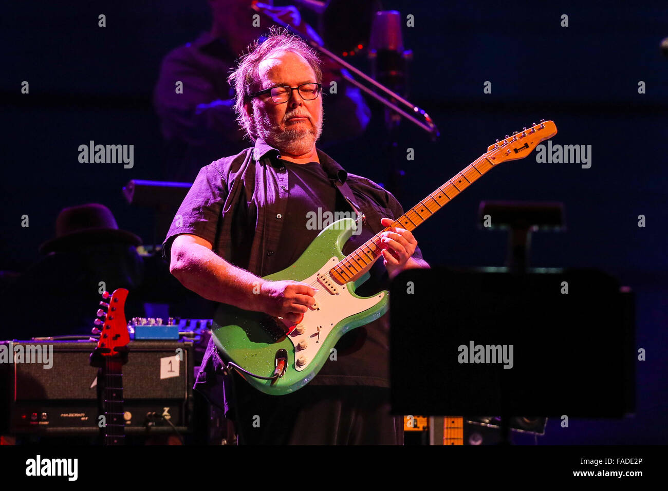 Steely Dan live in concert Stock Photo Alamy