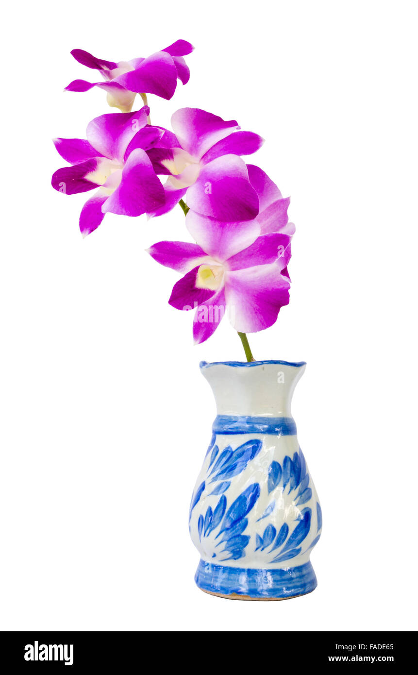 purple orchid in Vase on white background Stock Photo