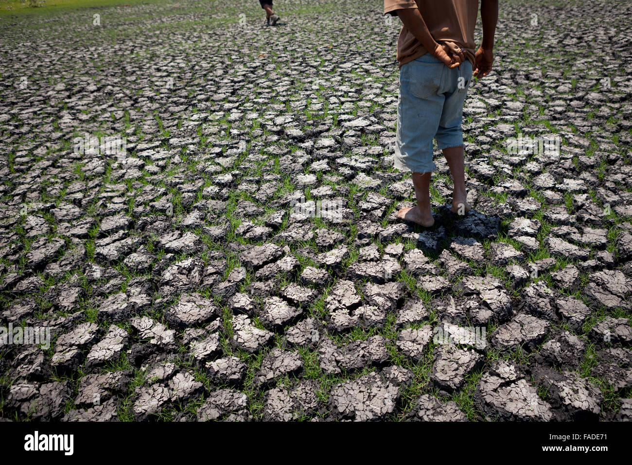 Men walking on cracked ground at the base of a drying pond during dry season in East Sumba, East Nusa Tenggara, Indonesia. Stock Photo