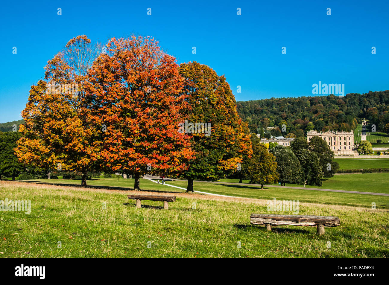 Chatsworth house and estate hires stock photography and images Alamy