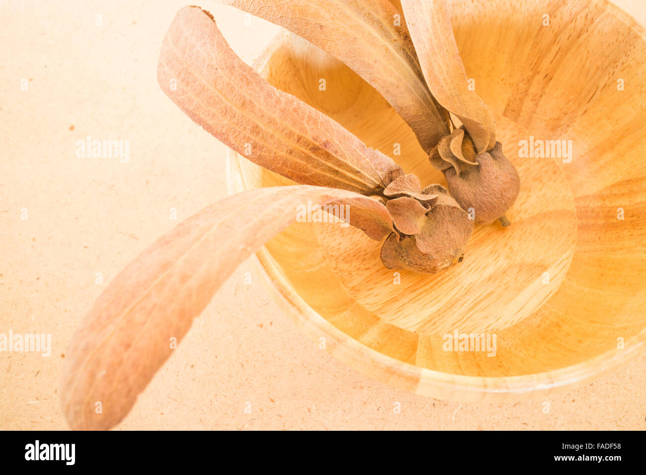 Two-winged fruit of Dipterocarpus on wooden table, stock photo Stock Photo
