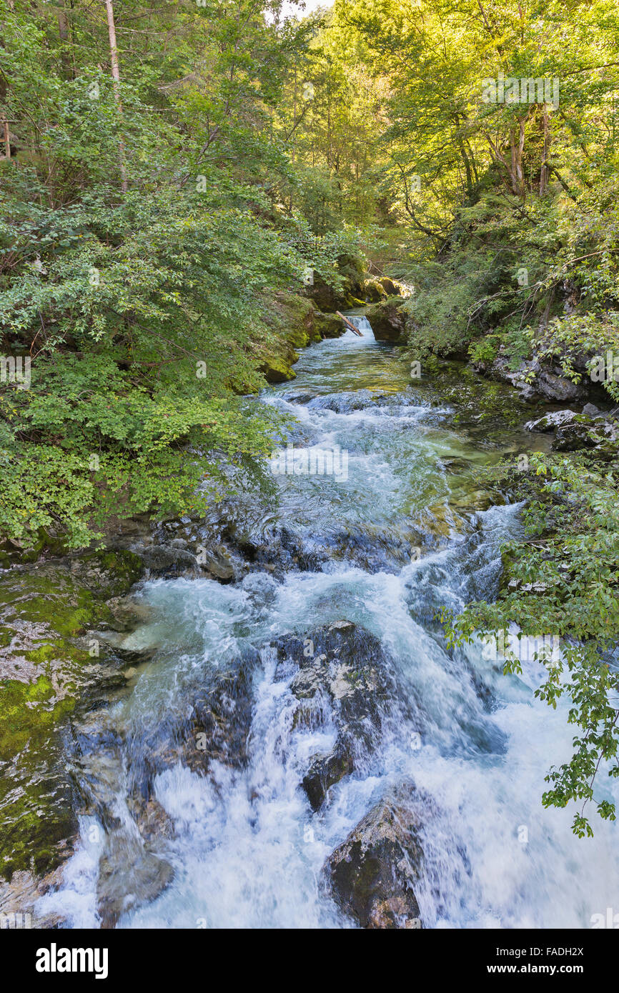 Vintgar gorge with rapid river Radovna flowing through it. Bled,Slovenia. Stock Photo