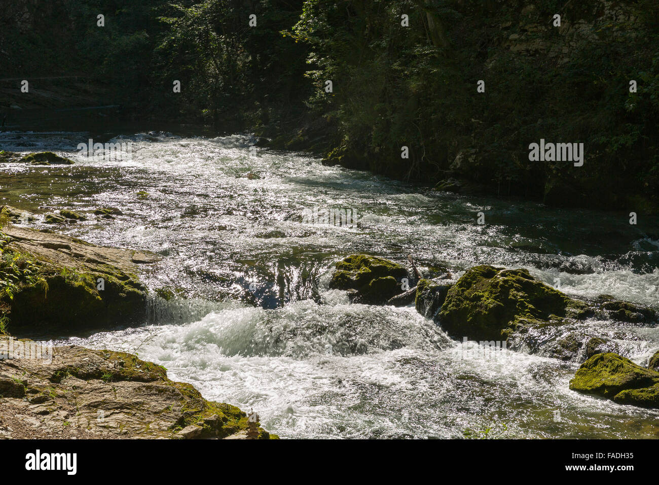 Vintgar gorge with rapid river Radovna flowing through it. Bled,Slovenia. Stock Photo