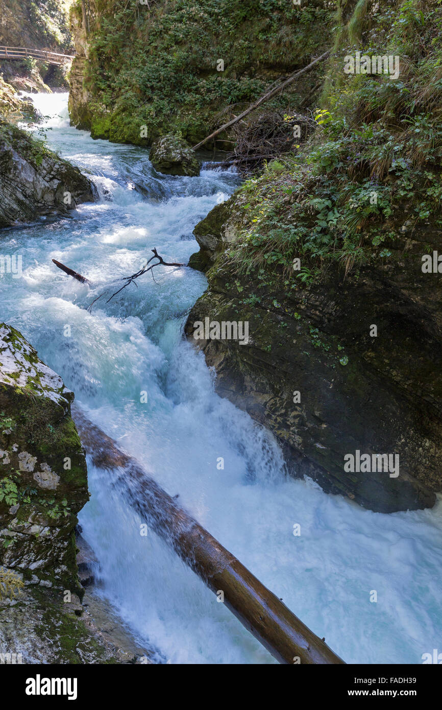 Vintgar gorge and rapid river Radovna. Bled, Slovenia. Stock Photo