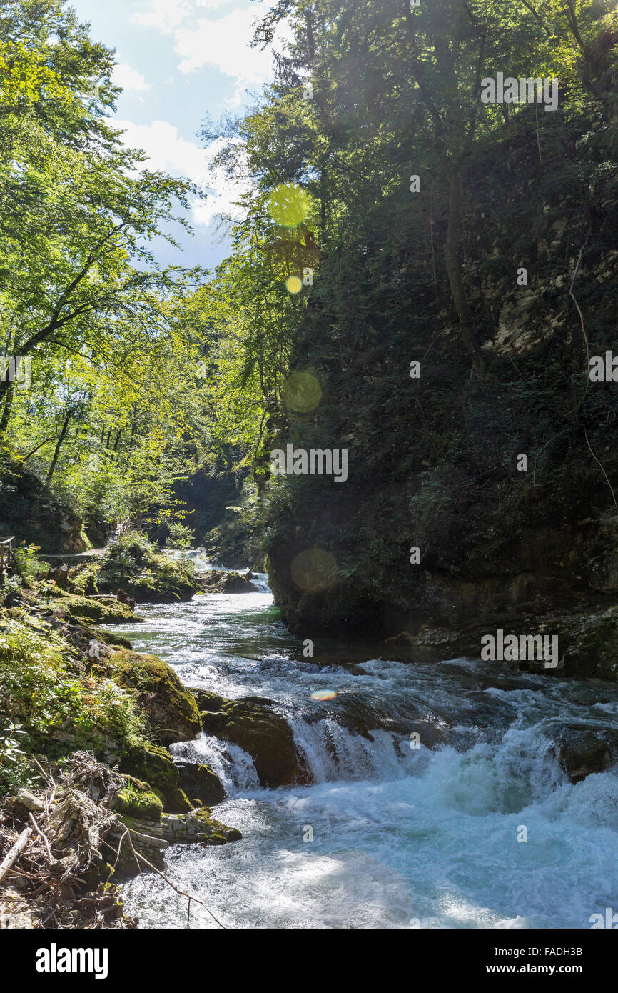 Vintgar gorge and wooden path with river Radovna flowing through it. Flare and Ghosts. Bled, Slovenia. Stock Photo