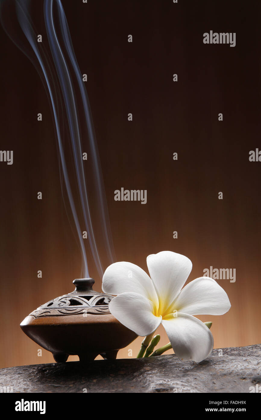 Smoking incense container with white frangipani Stock Photo Alamy