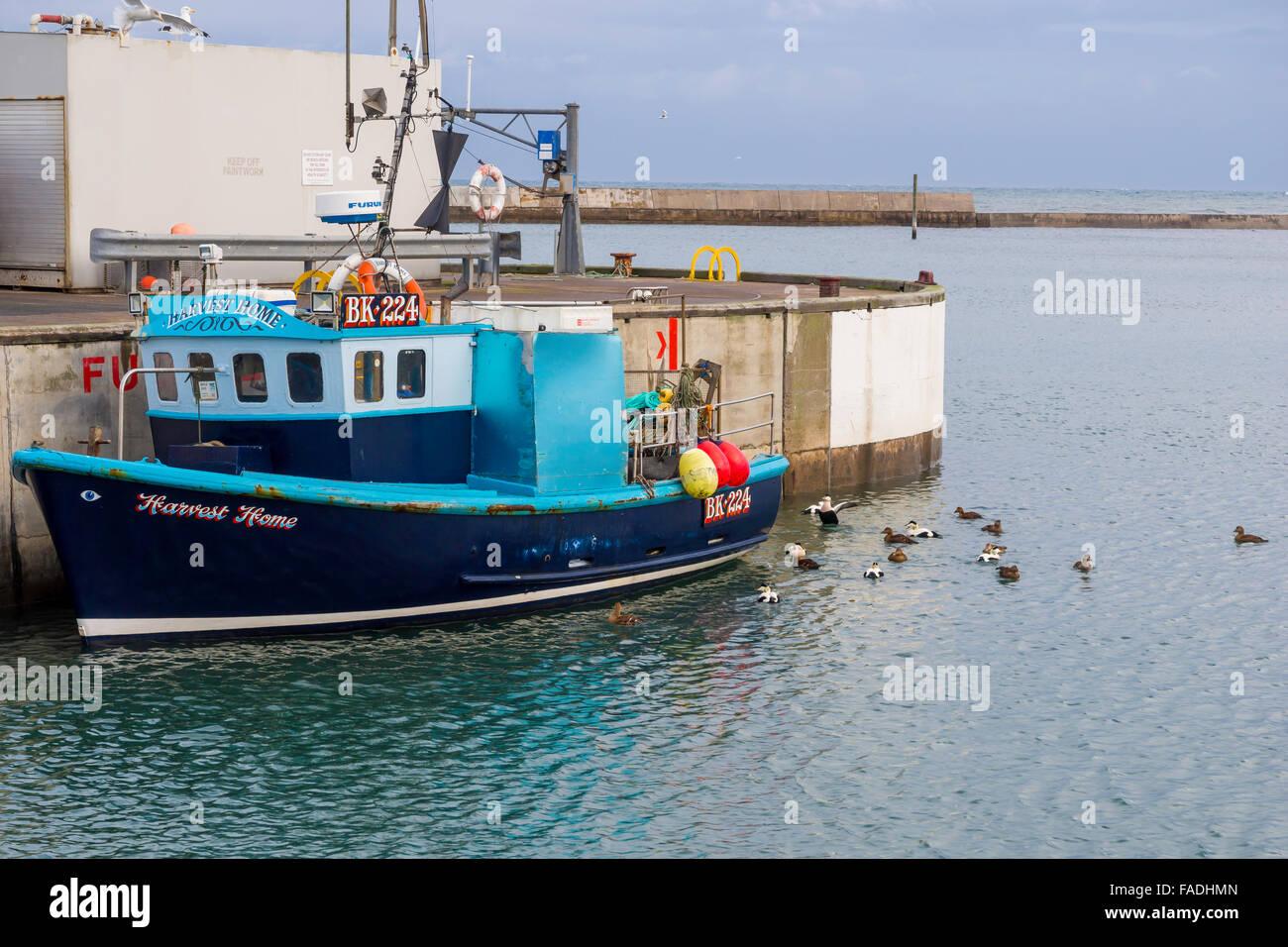 Boat Fishing Seahouses High Resolution Stock Photography and Images - Alamy
