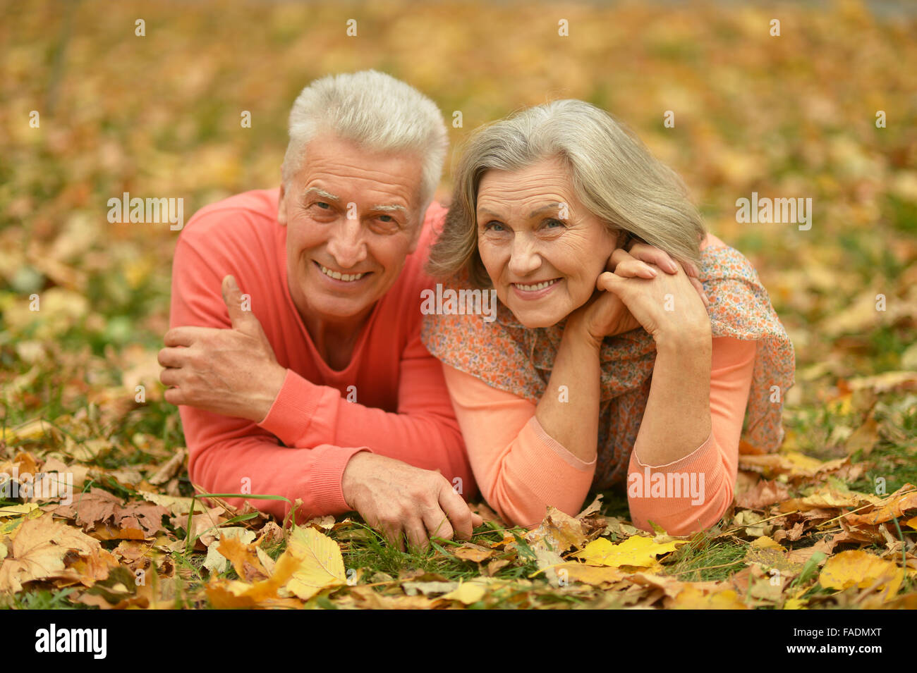Senior couple in autumn park Stock Photo - Alamy
