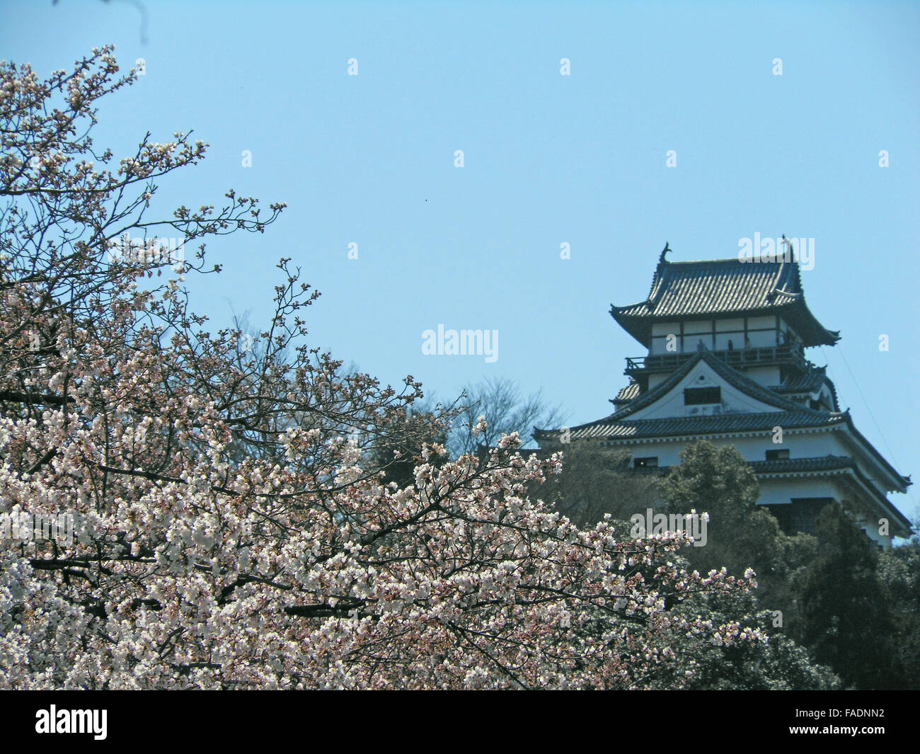 Inuyama caslte in Japan Stock Photo