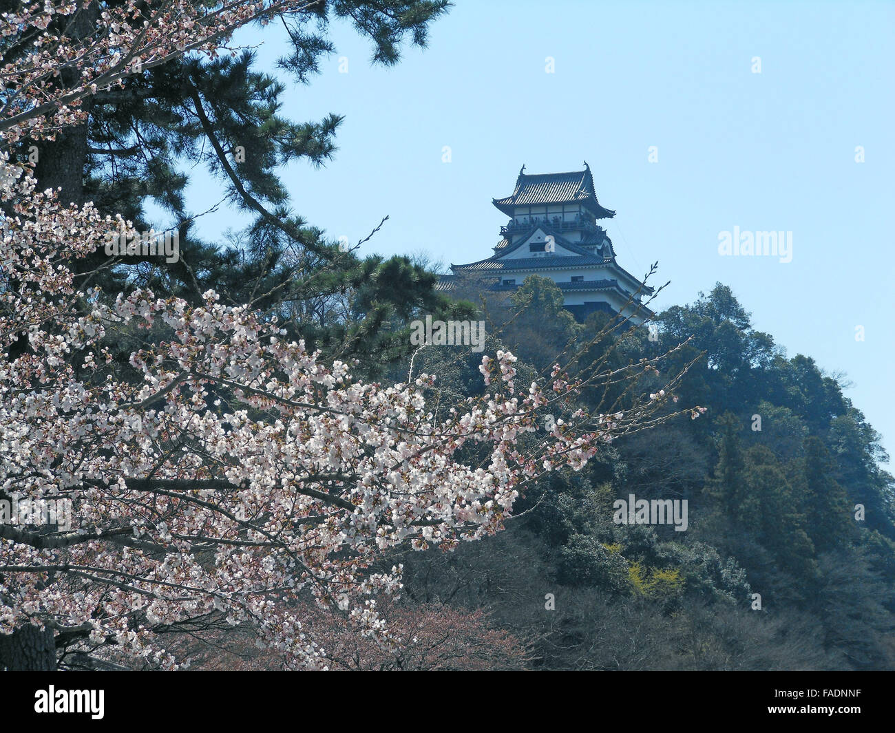 Inuyama caslte in Japan Stock Photo