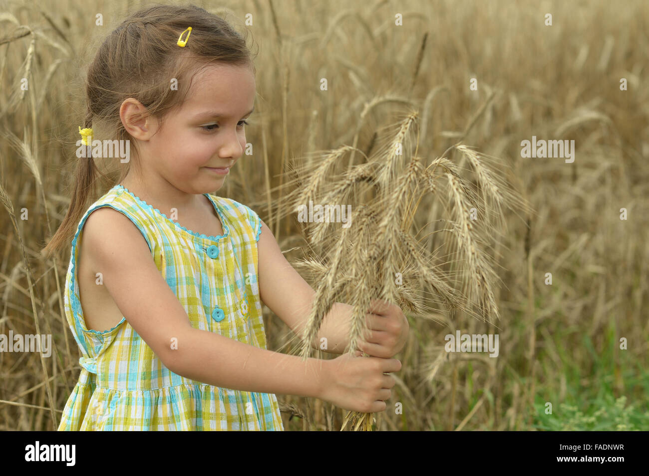 Little girl in wheat field Stock Photo - Alamy