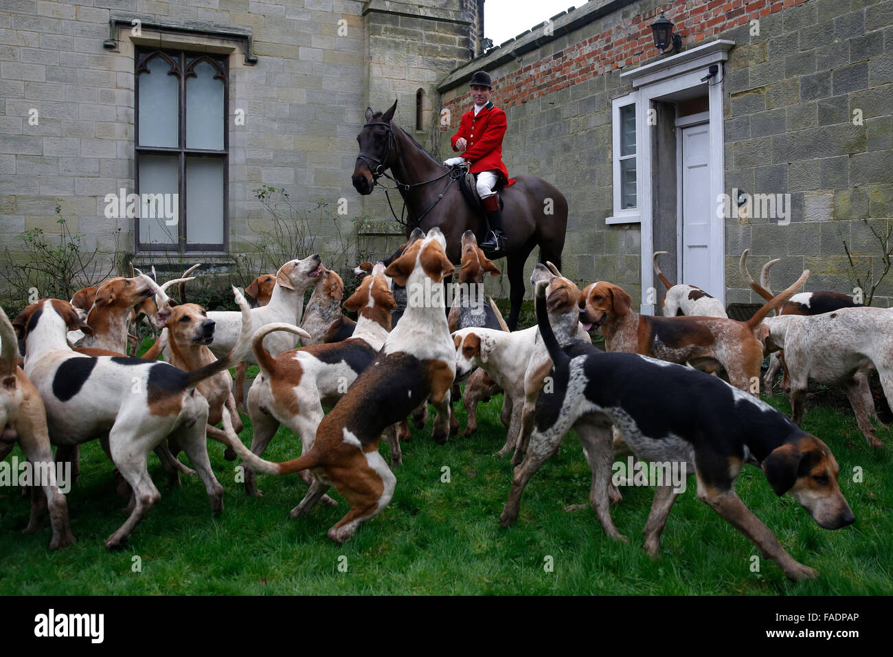 The hounds jump for biscuits as members of the Old Surrey Burstow and West Kent Hunt gather at Chiddingstone Castle for the annu Stock Photo