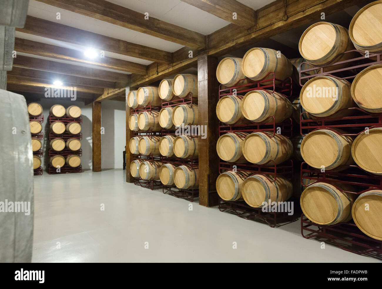 Interior of contemporary winery with wooden barrels in rows Stock Photo ...