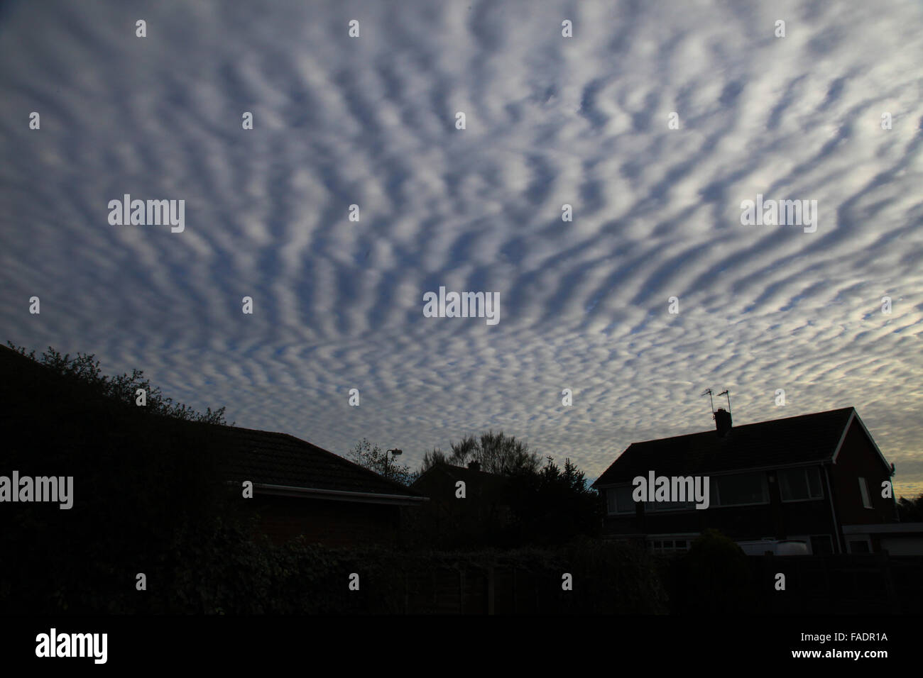 mackerel sky dappled with rows of small white fleecy typically