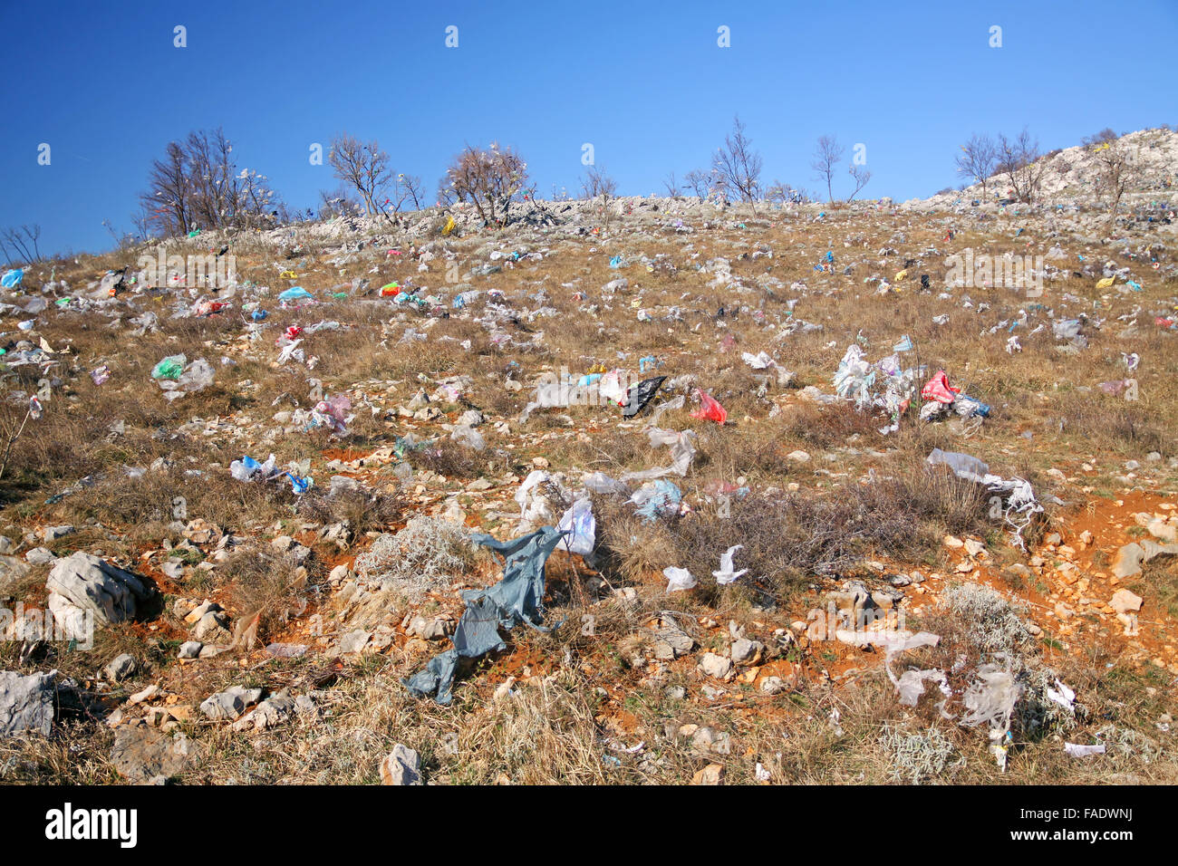 Discarded plastic shopping bags from an unguarded garbage disposal