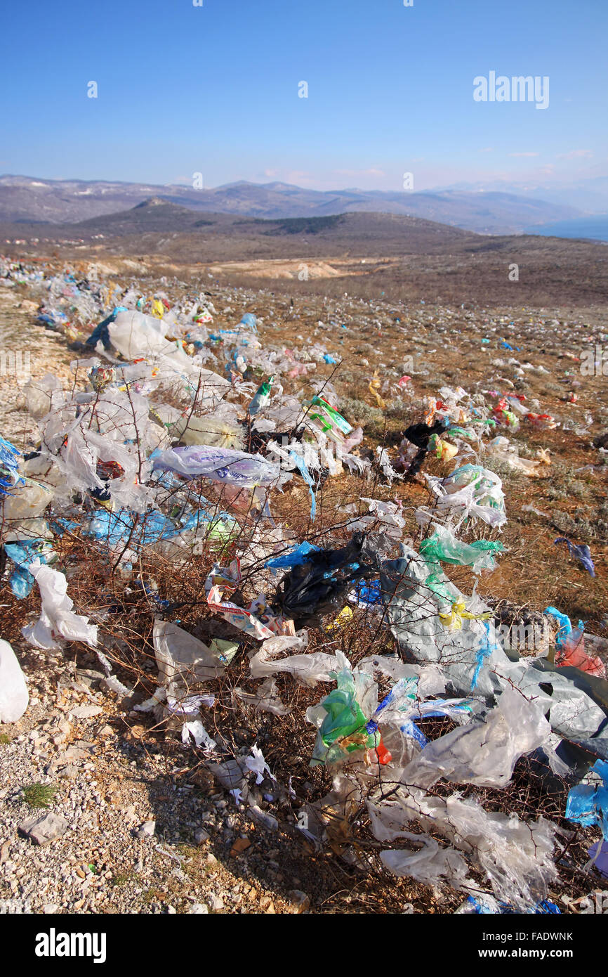 Discarded plastic shopping bags blown from an unguarded garbage