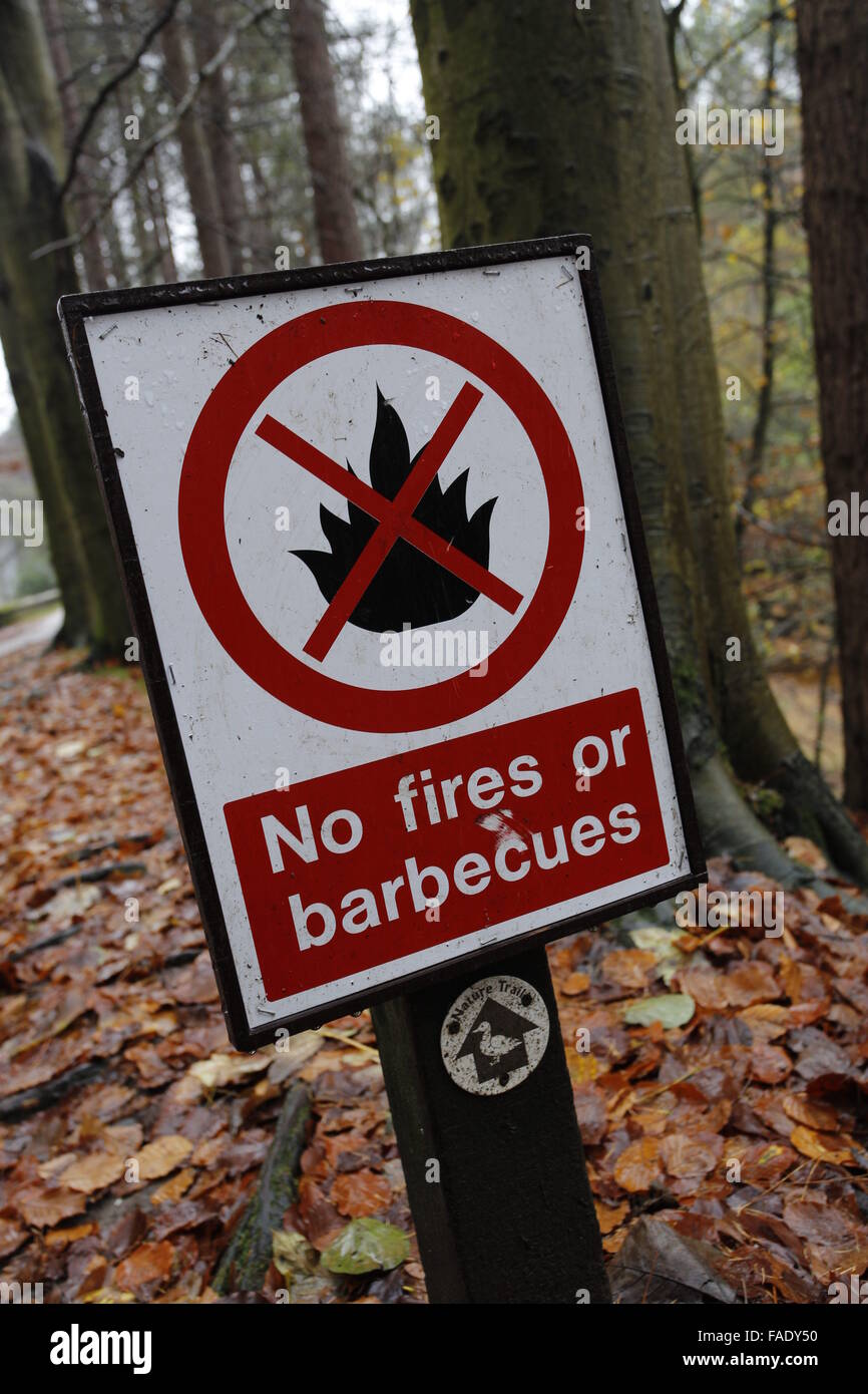 No Fires or Barbecues Sign in Forest Stock Photo