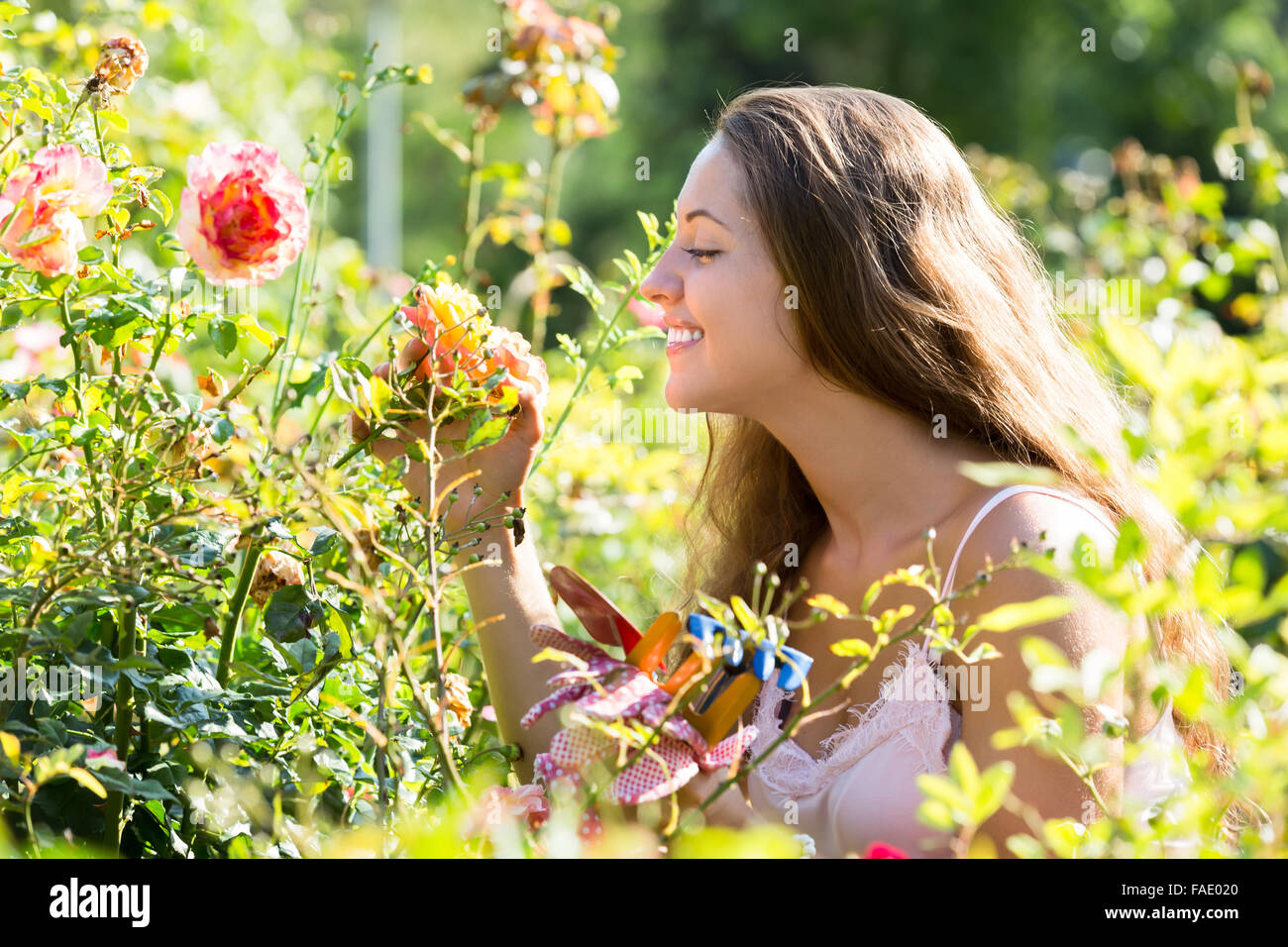 Happy smiling young woman in roses plant at garden Stock Photo - Alamy